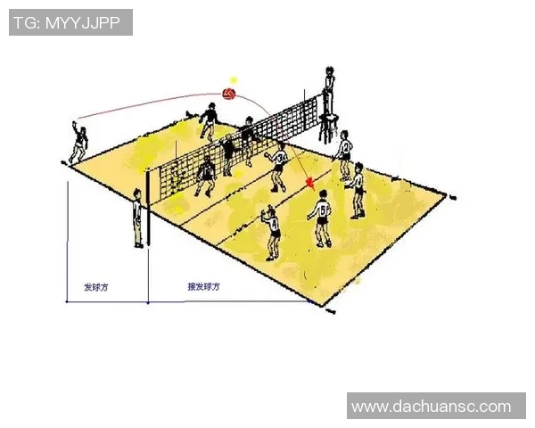 成都排球队区域防守策略揭秘深度解析排球战术与团队协作 成都排球队区域防守策略揭秘深度解析排球战术与团队协作