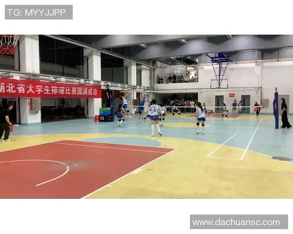 武汉排球队整体压制战术解析与实战应用探讨